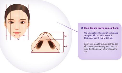 Thu gọn cánh mũi có ảnh hưởng gì không? 9